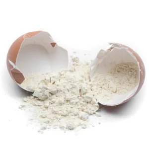 Egg Albumin Powder