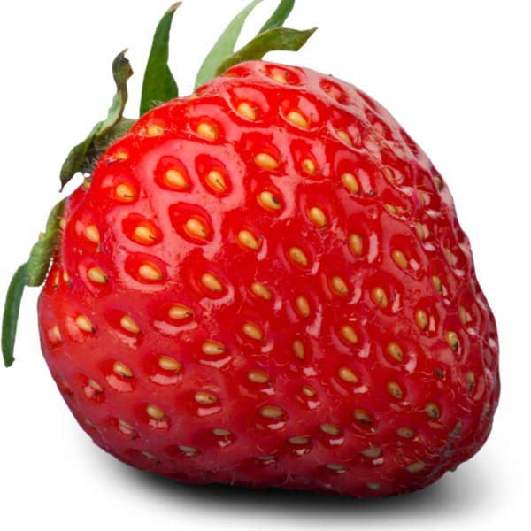 Strawberry Seed Extract