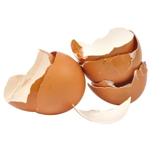 สารสกัดจากผงเยื่อหุ้มเปลือกไข่ Eggshell membranes powder