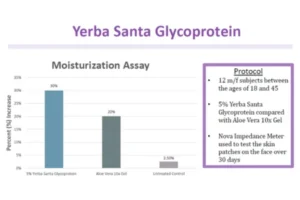 Yerba Santa Protein สารสกัดเครื่องสำอาง ลดเรือนริ้วรอย เพิ่มความชุ่มชื้น